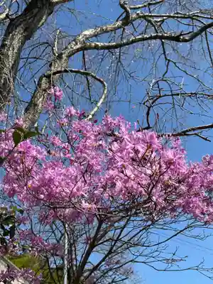 吉田久稲荷神社(東京都)