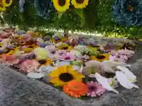 金蛇水神社の{uncategorized: "未分類", other: "その他", undefined: "問題あり", building: "その他建物", grave: "お墓", sacred_gate: "鳥居", guardian: "狛犬", statue: "像", buddha: "仏像", history: "歴史", nature: "自然", garden: "庭園", animal: "動物", pagoda: "塔", temizu: "手水舎", mountain_gate: "山門・神門", sanctuary: "本殿・本堂", subordinate: "末社・摂社", art: "芸術", scenery: "景色", jizo: "地蔵", ema: "絵馬", goshuin: "御朱印", omikuji: "おみくじ", items: "授与品その他", amulet: "お守り", goshuincho: "御朱印帳", eats: "食事", festival: "お祭り", votive_dance: "神楽", shichigosan: "七五三参", wedding: "結婚式", experience: "体験その他", initially: "初詣", around: "周辺", anti_infection: "感染症対策"}