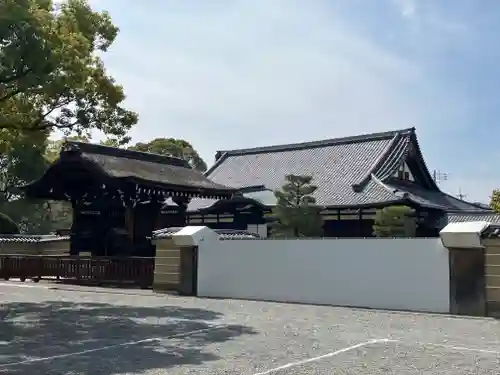東寺（教王護国寺）(京都府)