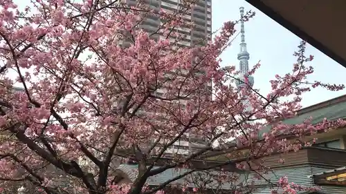 龍眼寺（萩寺）の景色