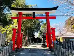 老神神社の鳥居