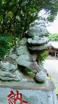 畑子安神社の狛犬