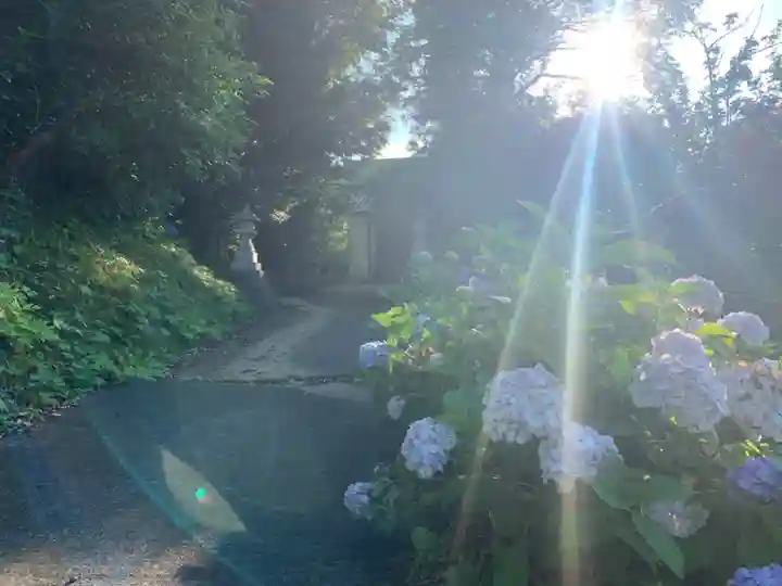 熊野神社(千葉県)