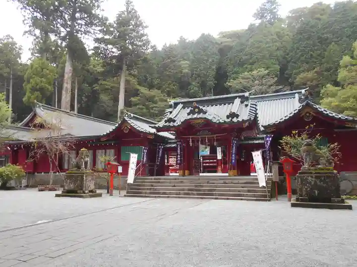 箱根神社の本殿・本堂