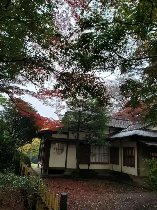 明治神宮(東京都)