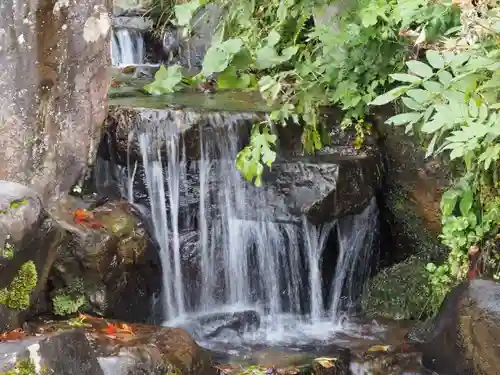 諏訪神社の自然