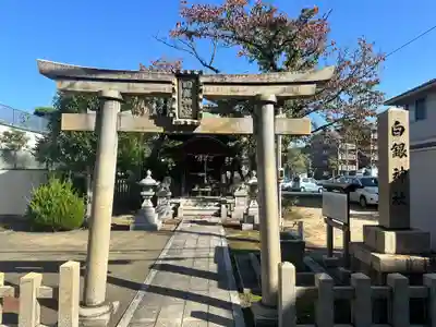 白銀神社(福井県)