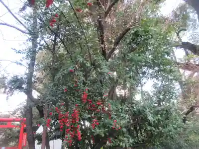 日枝神社(東京都)