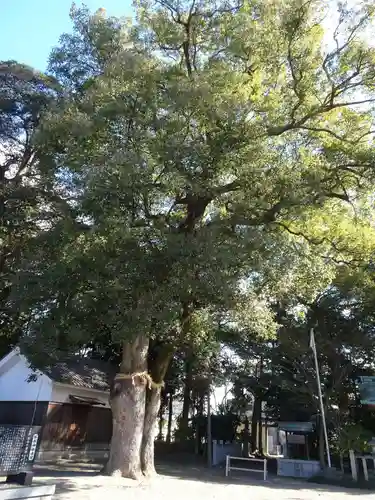 勝部神社(滋賀県)