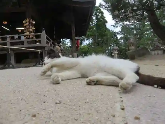 智恩寺(京都府)