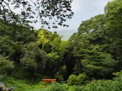 仙遊寺(愛媛県)