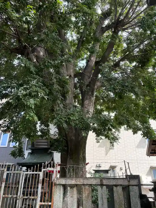溝旗神社(肇國神社)(岐阜県)