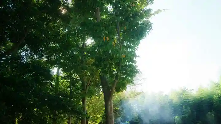 若宮神明社の景色