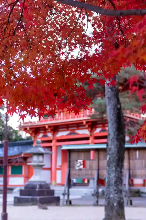 今宮神社(京都府)