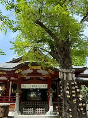 素盞雄神社の{uncategorized: "未分類", other: "その他", undefined: "問題あり", building: "その他建物", grave: "お墓", sacred_gate: "鳥居", guardian: "狛犬", statue: "像", buddha: "仏像", history: "歴史", nature: "自然", garden: "庭園", animal: "動物", pagoda: "塔", temizu: "手水舎", mountain_gate: "山門・神門", sanctuary: "本殿・本堂", subordinate: "末社・摂社", art: "芸術", scenery: "景色", jizo: "地蔵", ema: "絵馬", goshuin: "御朱印", omikuji: "おみくじ", items: "授与品その他", amulet: "お守り", goshuincho: "御朱印帳", eats: "食事", festival: "お祭り", votive_dance: "神楽", shichigosan: "七五三参", wedding: "結婚式", experience: "体験その他", initially: "初詣", around: "周辺", anti_infection: "感染症対策"}