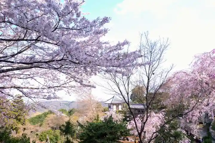 善峯寺(京都府)