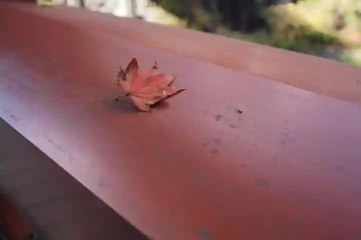 神橋(二荒山神社)のその他建物