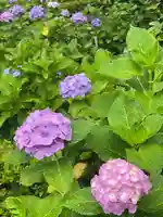 白山神社(東京都)