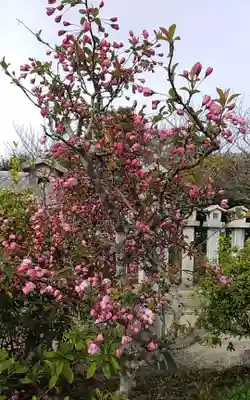 比佐豆知神社の自然