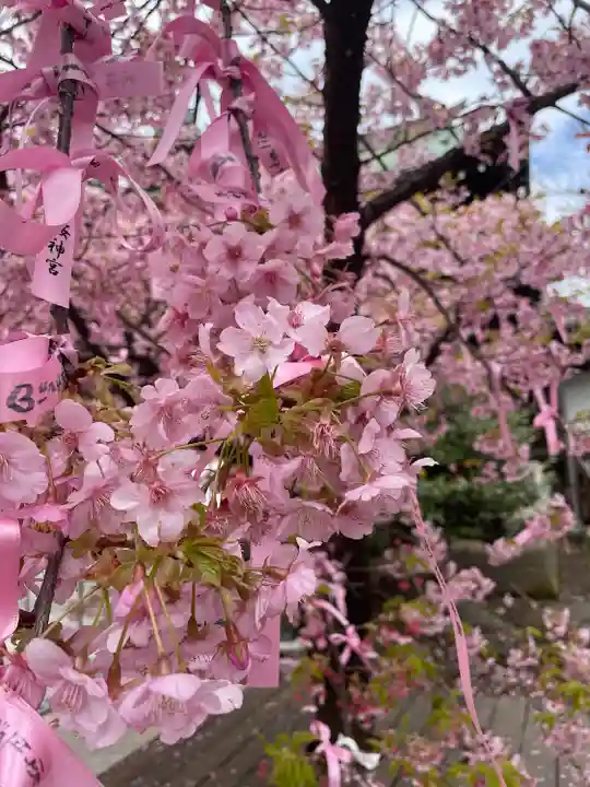 桜神宮(東京都)