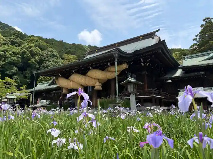 宮地嶽神社(福岡県)