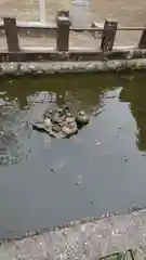 金刀比羅神社の庭園