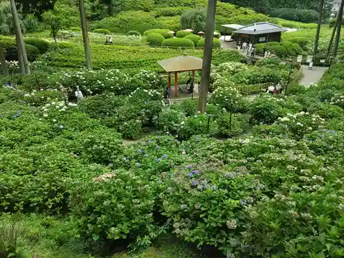 三室戸寺の庭園