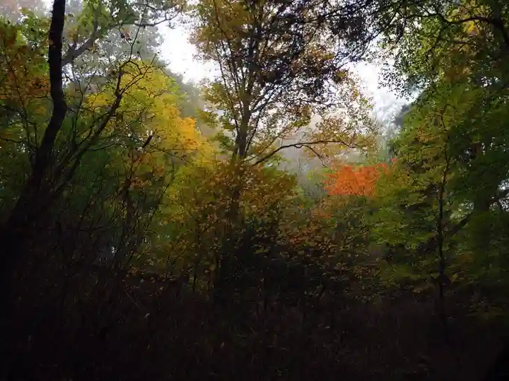 七面山敬慎院の自然