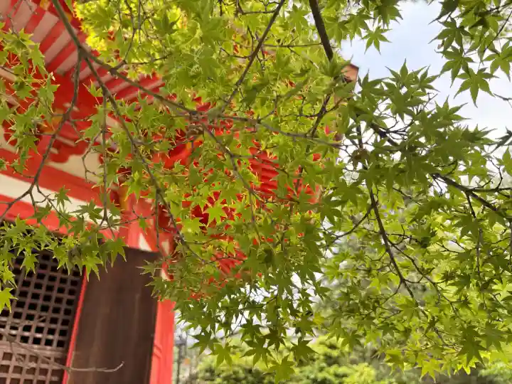 東福禅寺(東福寺)(京都府)