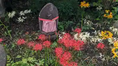 常泉寺(神奈川県)