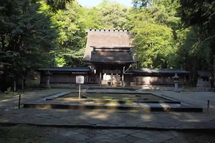 若狭彦神社(上社)の本殿・本堂