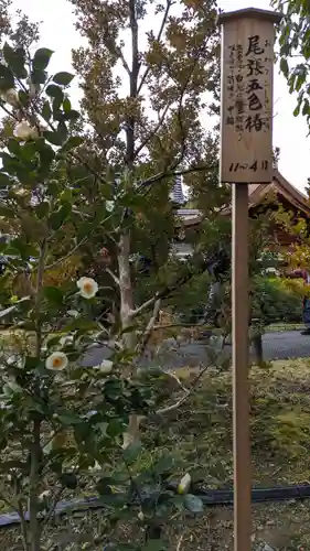 城南宮(京都府)