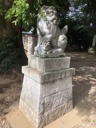 岩槻久伊豆神社の狛犬