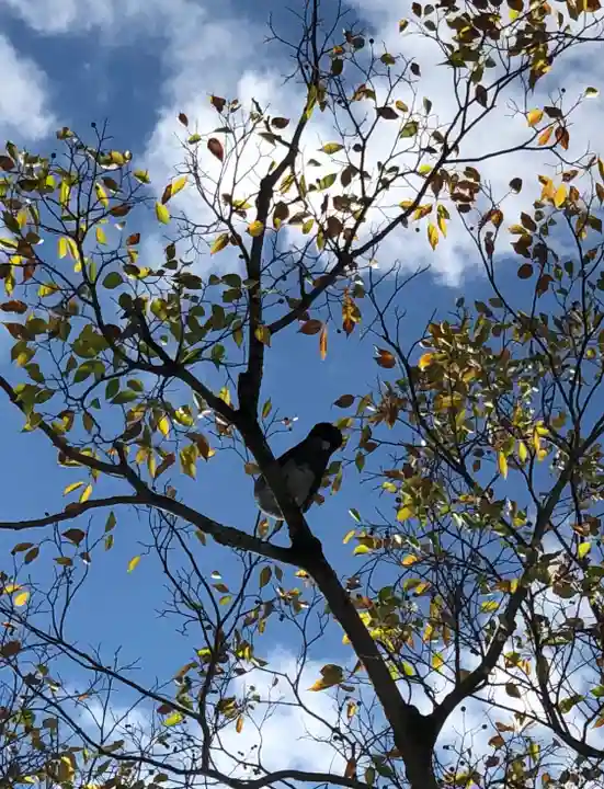 豊国神社(京都府)