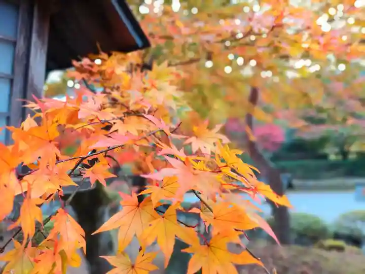 南湖神社の自然