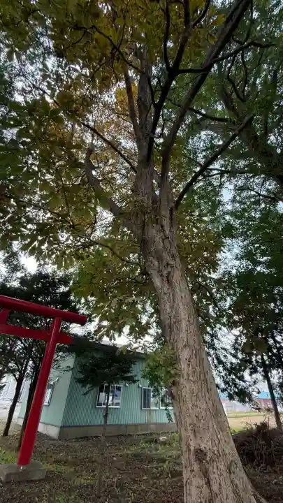 一本木稲荷神社(北海道)
