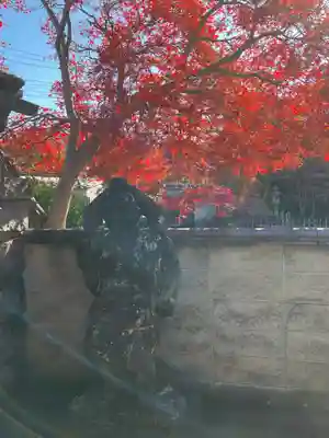 金剛寺(東京都)