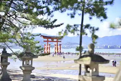 厳島神社(広島県)