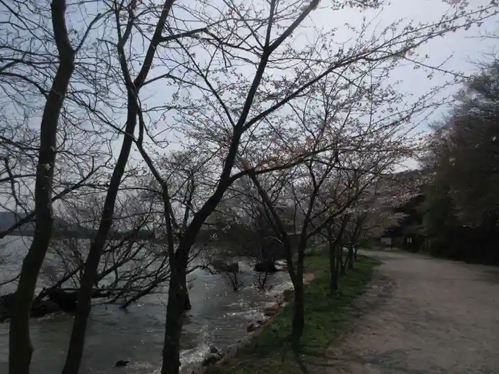 藤ヶ崎龍神社(滋賀県)