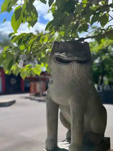 住吉神社の狛犬