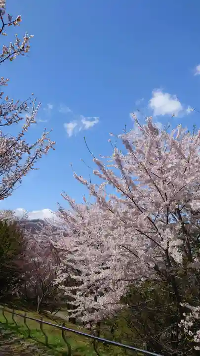 相馬神社の自然