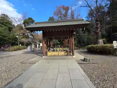 櫻木神社(千葉県)