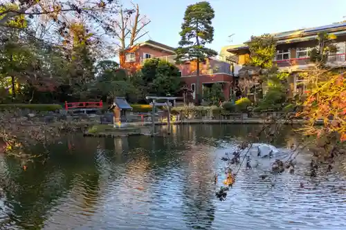 越ヶ谷久伊豆神社(埼玉県)