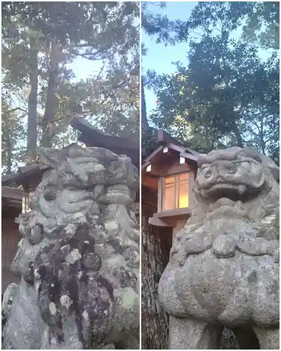 猿田彦神社の狛犬