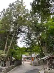 科長神社の鳥居