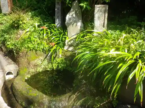 海蔵寺の庭園