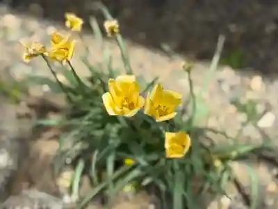 西方山極楽寺(岐阜県)
