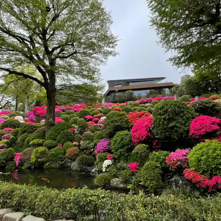 根津神社の自然