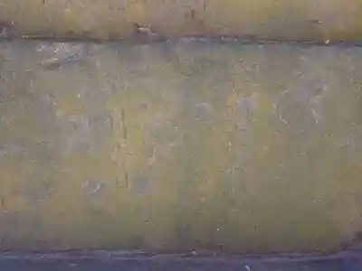 西堀氷川神社(埼玉県)