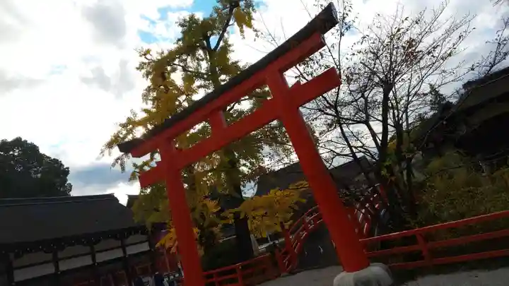 賀茂御祖神社(下鴨神社)の鳥居